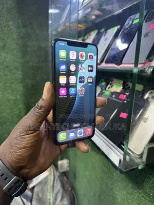 Apple iPhone XS Max 256 GB Black