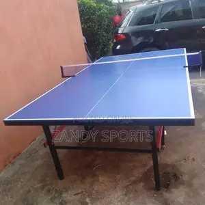 SMC and Fiber Outdoor Water Resistant Tennis Table