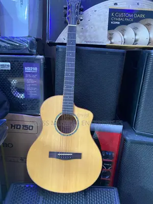 HSH Hong Kong Handcrafted Acoustic Guitar