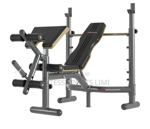 Commercial Workout Bench