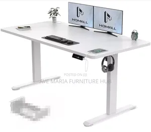 Electric Adjustable Sit-Stand Desk