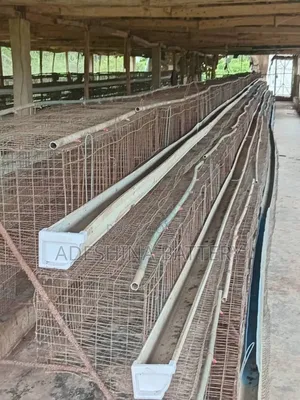 Used Cages