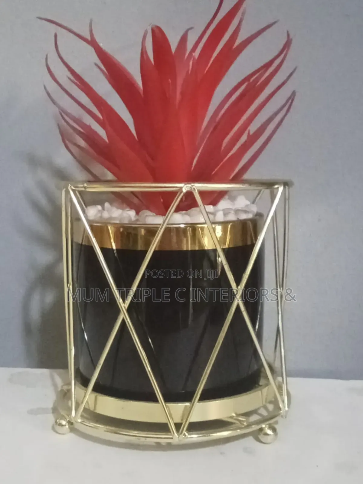 Flower 🌺 For Interior Decor