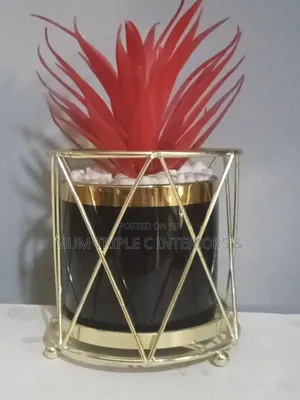 Flower 🌺 For Interior Decor
