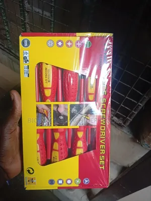 Set of Insulated Screwdriver