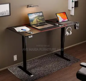 Home/Office Sit-Stand Desk [Dual Motor]