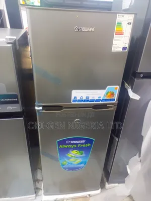 Snowsea Bcd-198 Double Door Refrigerator Set