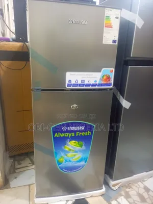 Snowsea Bcd-166 Double Door Refrigerator, With A 150l Set