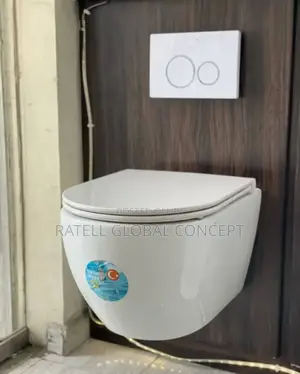 White Concealed Cistern Toilet