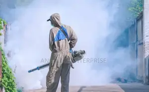 Get Rid of Bedbugs Today