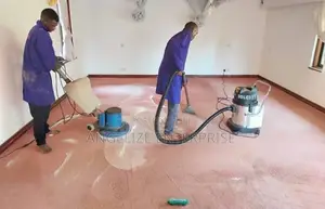 Carpet Cleaning and Upholstery Service