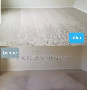 Spotless Carpet and Upholstery Cleaning