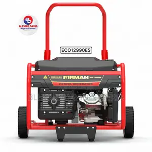 Firman Eco12990es, 10kva 8.2kw Key Starter Generator Copper