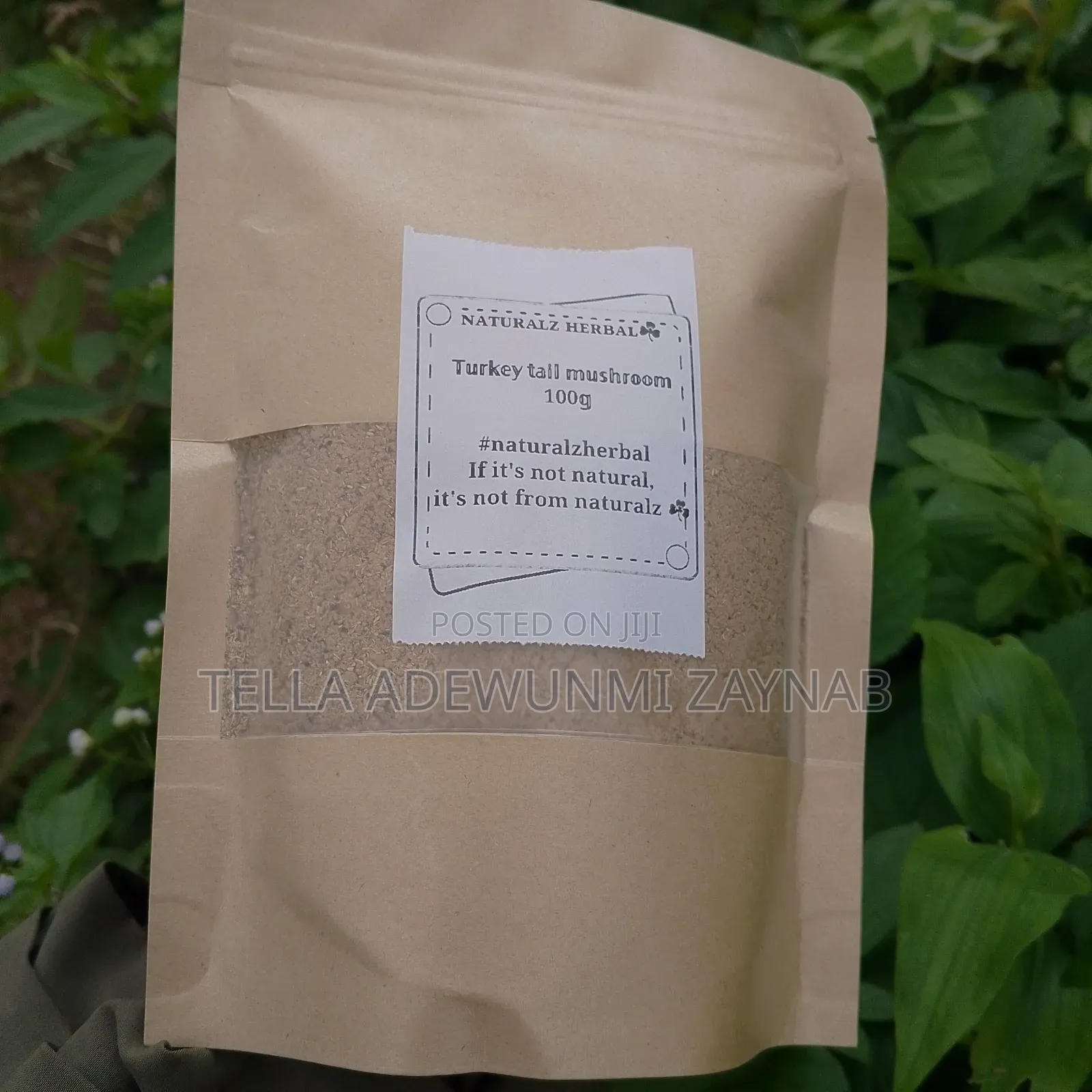 Turkey Tail Mushroom 100g