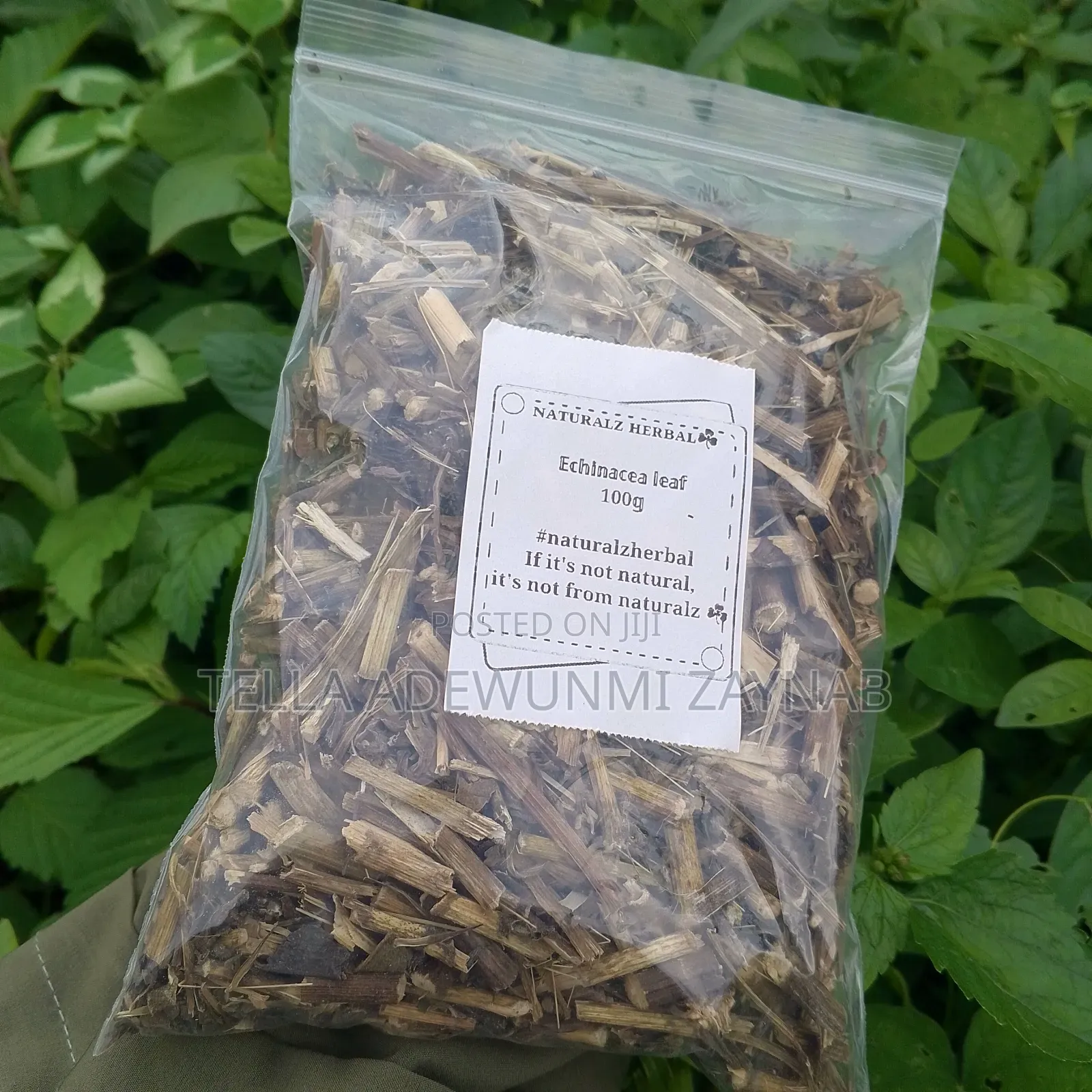 Echinacea Leaf 100g