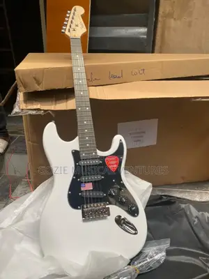Fender Stratocaster Electric Guitar