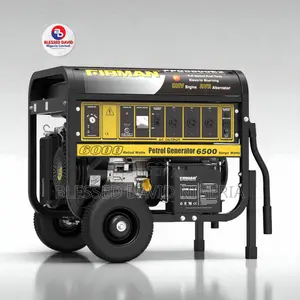 Firman Fpg8800e2 7.5kva (6.0kw) Key Starter Generator Copper