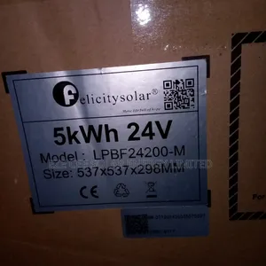 5kwh 24v Felicity Lithium Battery