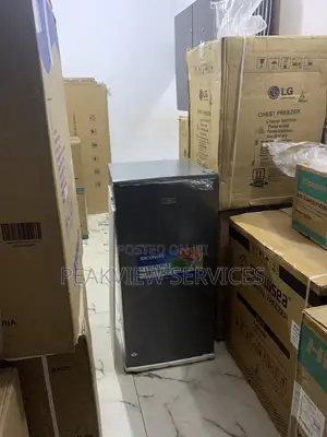 Chill in Style – Skyrun 160l Double Door Fridge (Bcd-160hc)