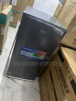 Keep It Fresh With Skyrun 160l Fridge – BCD-160hc