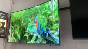 Samsung Curve 55 Inches Tv