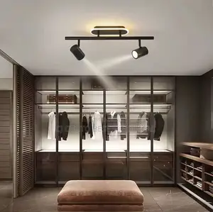 Double Track Light Available as You Seen