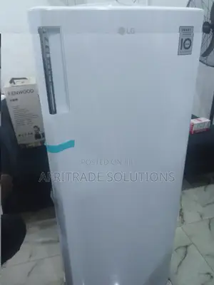 Lg Gn-304sqgt – Smart Inverter, Fast Freezing Technology