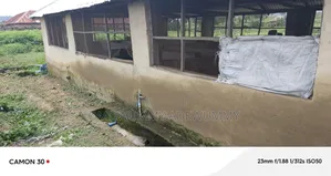 Pig Farm For Sale