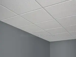 Acoustic/Suspended Ceiling Tiles