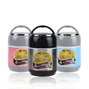 600ml Hot and Cold Food Flask