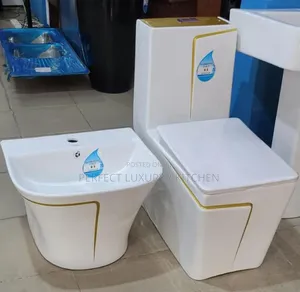 White With Gold Design Color Complete Set W.C Water Closet