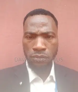 Personal Driver to Ceo