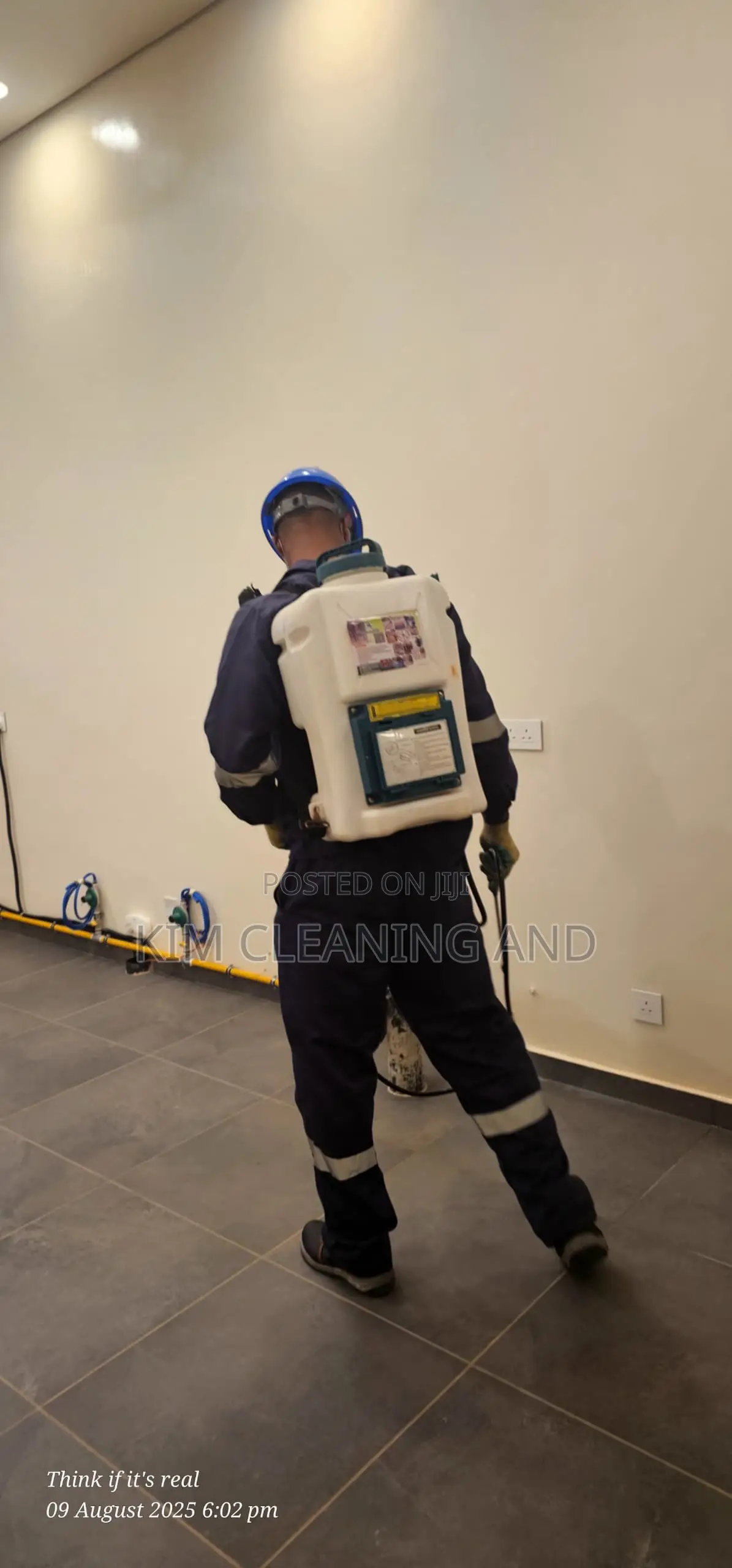 Pest/Insects Fumigation