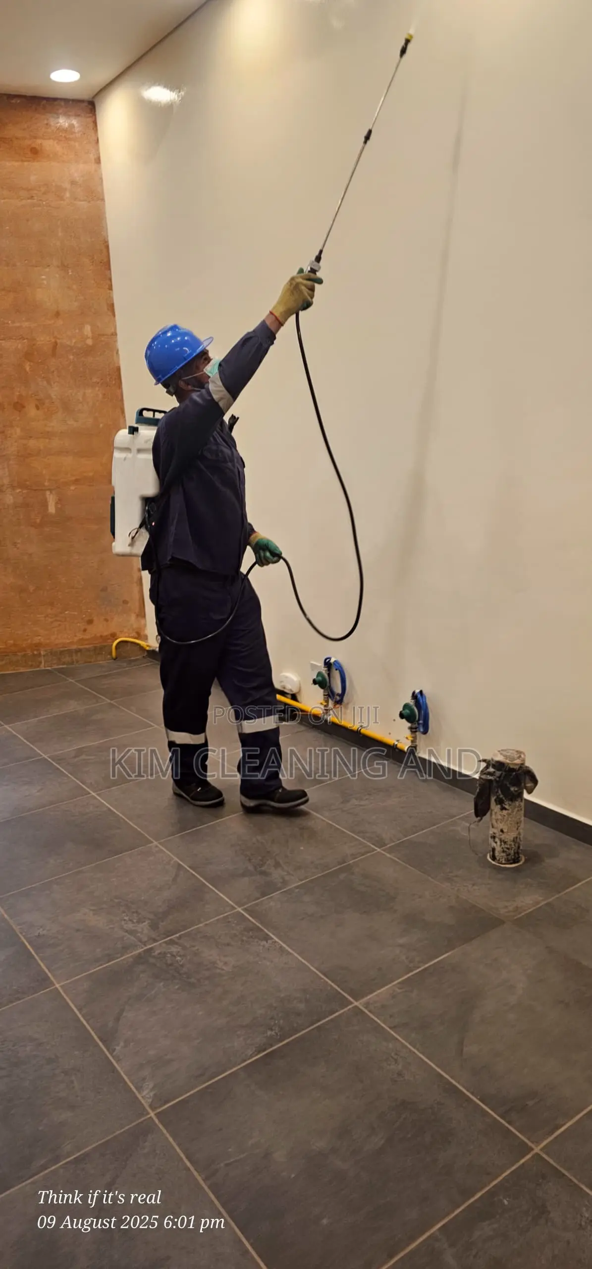 Pest/Insects Fumigation