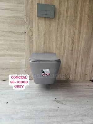 England High Quality Grey Matt Wall Conceal Water Closet