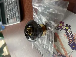 Ford Fusion Engine Thermostat