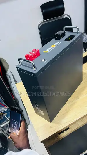 Lemon 3kwh 24v Lithium Ion Batteries With Warranty