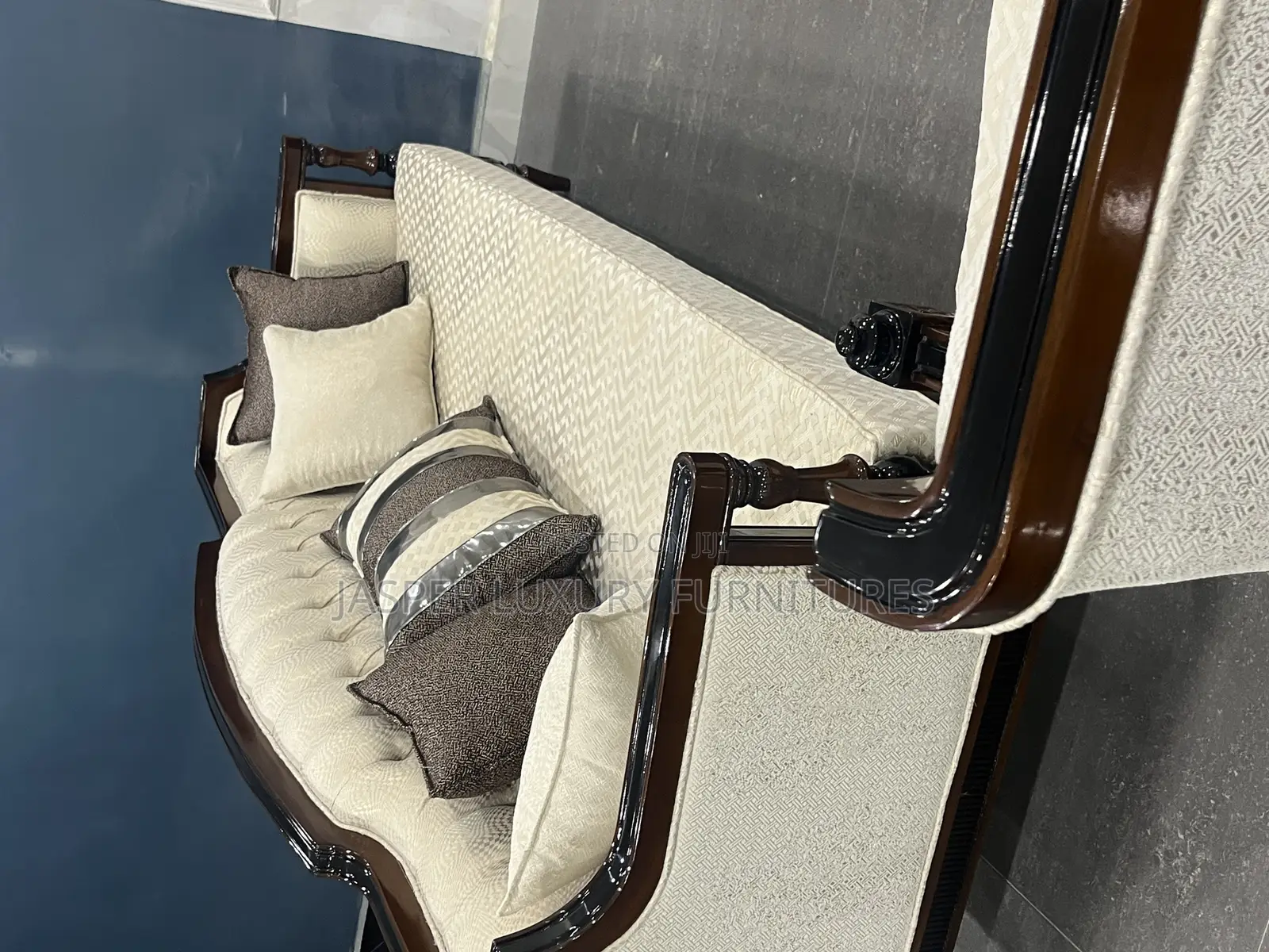 Modern Design  Sofa