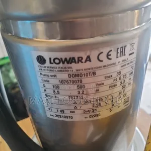 Lowara Domo 10t/B Submersible Pump