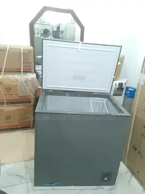 Thermic Hisense Fc260sh 198 L Silver Chest Freezer