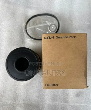 Hyundai/Kia Oil Filter