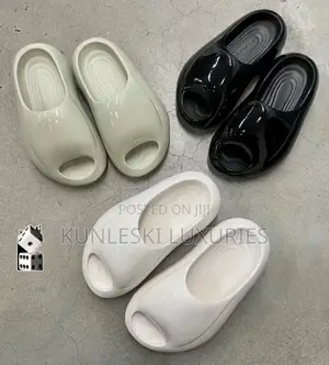Original X-Vessel Noah’S Ark Slides Collections