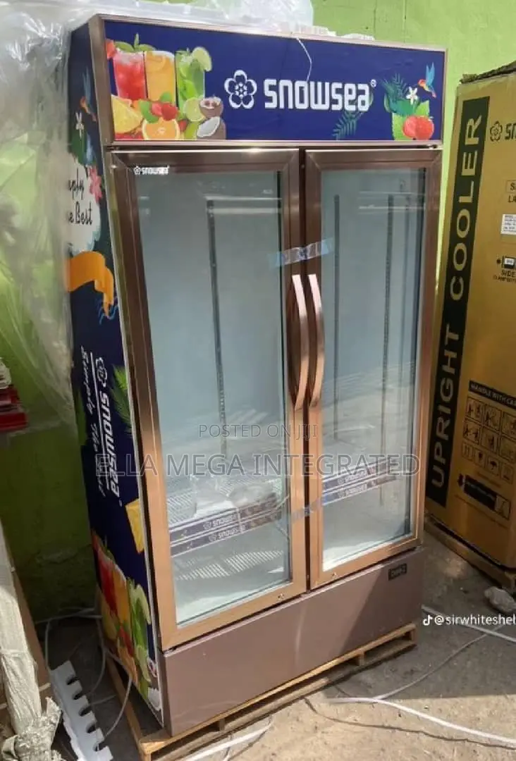 Double Door Chiller