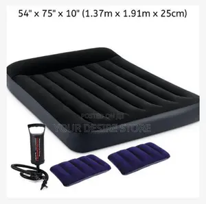 Intex Inflatable 2-3 Person Classic Downy Airbed With Pump Two Pillows