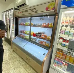 Supermarket Vegetable Chiller (6ft) Up Fridge Down Freezer /All In One