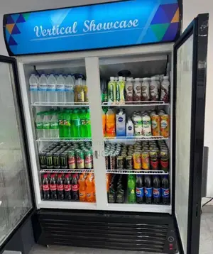 Commercial 2 Doors Vertical Display Chiller Showcase (4 Layers) Static