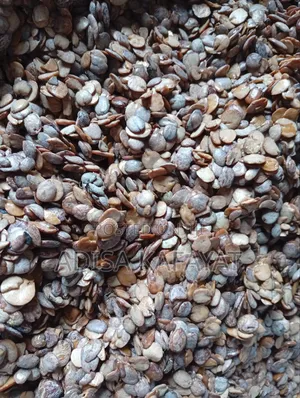 Stone Free Iru Ekiti (, Locust Beans)