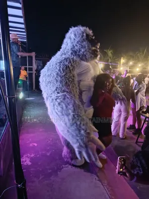 Inflatable Gorilla And Panda Giants Costumes