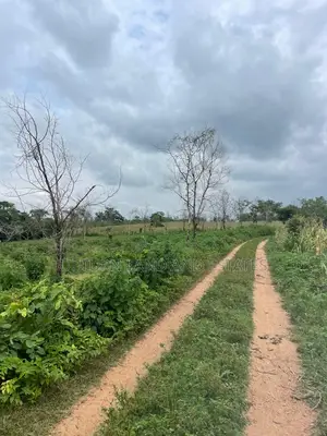 500 Acres of Land for Sale in a Secure Location in Odeda.