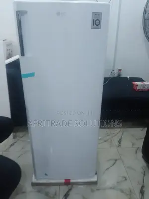 Perfect Fridge for Homes – Lg Gn-304sqgt